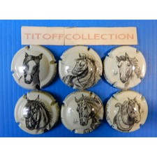 la serie de 6 caspule de