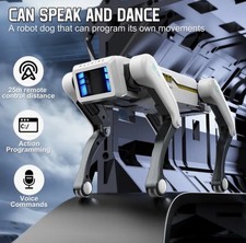 Nuovo Robot Intelligente
