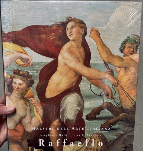 Libro arte raffaello - d’arte,