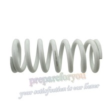 Molla ammortizzatore