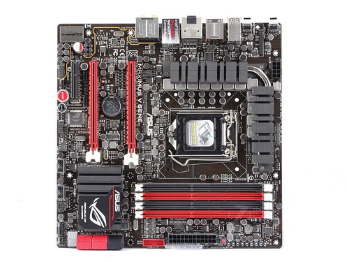 Per asus maximus - per,