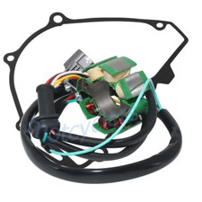 Bobina statore + guarnizione