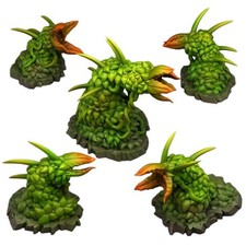 Piante E Rocce Fantastiche -