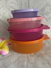 Tupperware 4 Piece Portioning