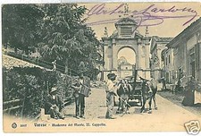 CARTOLINA d'Epoca: VARESE - CARRO CON BUOI
