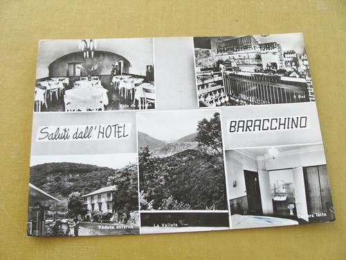 Deiva marina - (fg.m07),
