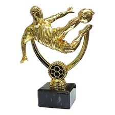 Trofeo calcio 16,5 cm Targhetta personalizzata omaggio