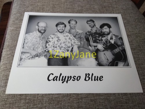 P894 band 8x10 stampa - p894,