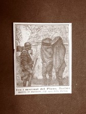 Tra i marinai del Piave nel 1918 Maschere contro le zanzare WW1 Grande guerra