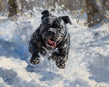 Corso canna stampa opaca 8x10