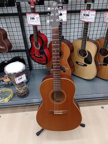 Seagull folk chitarra - folk,