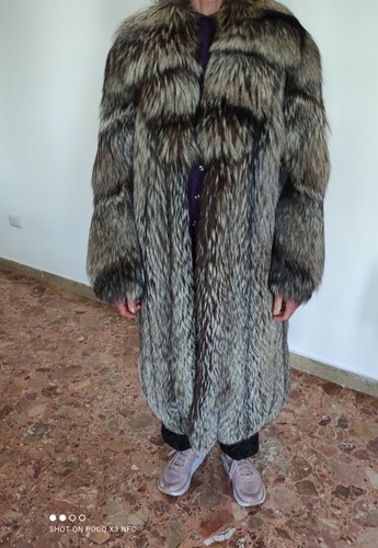Cappotto volpe argentata - cappotto, di