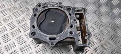 Suzuki 1000 canna e - sv,