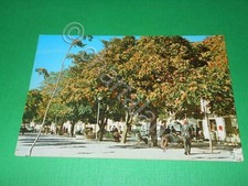 Cartolina Bisignano - Viale Roma 1980