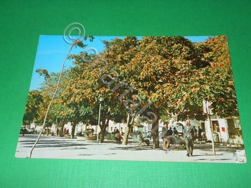 Cartolina bisignano viale - cartolina,