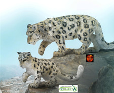 Snow Leopard and Cub Pair of