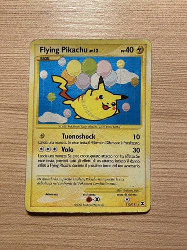 Flying pikachu fuoriserie
