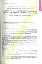 GAVAGNIN P., GARIBALDI  F