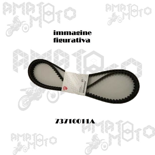 Coppia cinghie trasmissioni - cinghie,