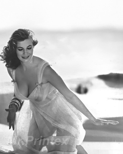Anita ekberg foto - ekberg, 🔵