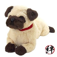 Carlino cane ginocchio