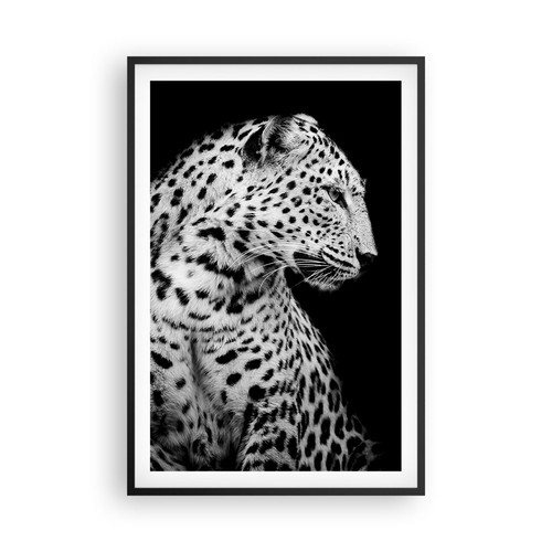 Poster 61x91cm leopardo - poster,