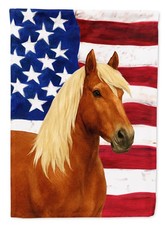 Gypsy Vanner Chestnut American