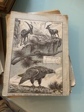 QUADERNO D’EPOCA FASCISTA