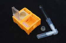 Nuovo nido di formiche regina