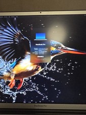 apple macbook pro 17 inch
