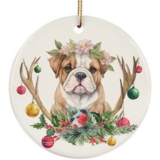 Bulldog inglese cucciolo cane