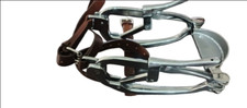 Equino Dental Millenium