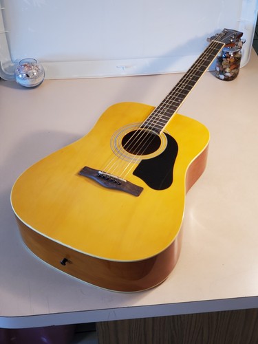 Silvertone pro series - pro,