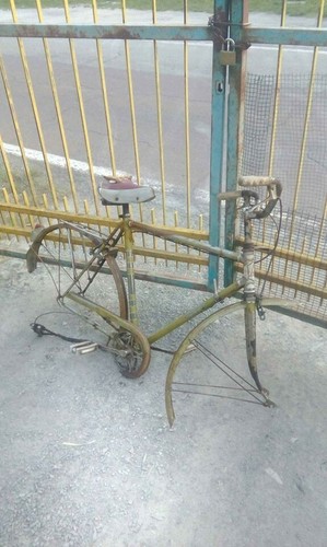 Telaio bicicletta trarovi - telaio,