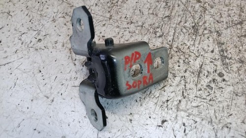Cerniere porte per renault - cerniere,