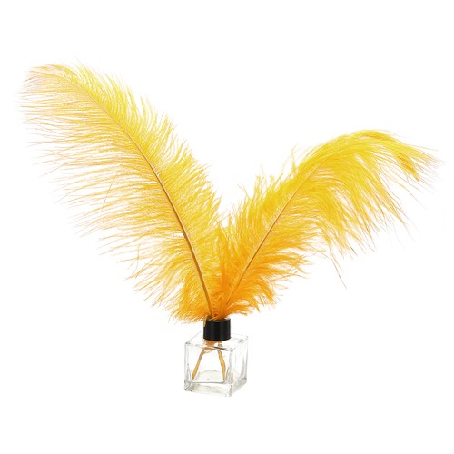 Pzze piume struzzo - struzzo, 35-40cm