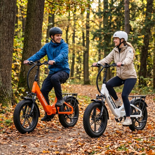 Bicicletta elettrica - bicicletta,