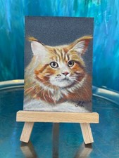 Disegno Maine Coon