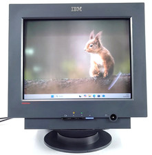 IBM ThinkVision 17" 6737-66N/A