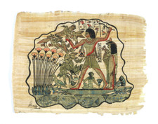 PRL) PAPIRO EGIZIANO DISEGNO