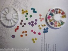 Ruota  FIORI secchi NAIL ART