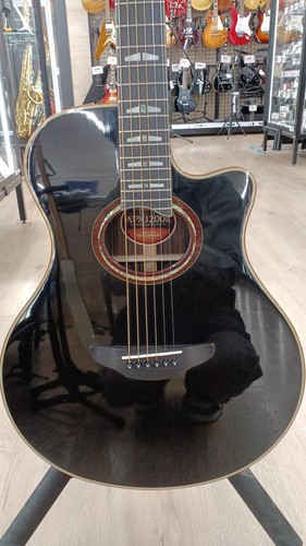 Chitarra elettrica acustica