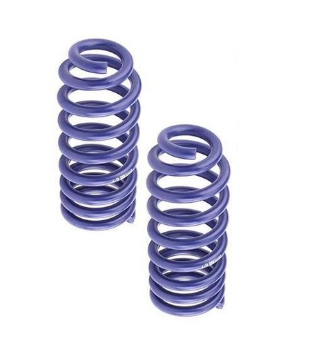 Molle assetto springs - molle, h&r