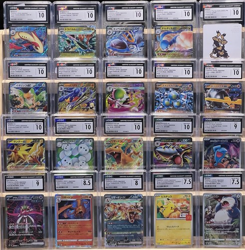 Pokemon tcg bundle - 🤩✨pokemon,