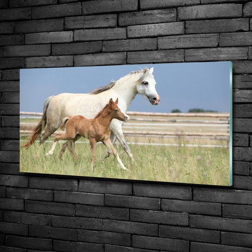 Quadro immagine arte parete - immagine,
