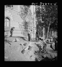 Sicilia italia 1943 - 1943, alleati