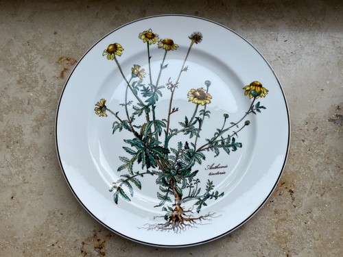 Villeroy boch botanica - boch,