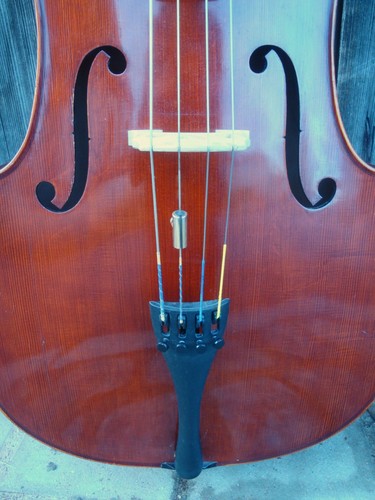 Violoncello benedetto - violoncello, 4/4
