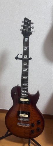 Chitarra elettrica aria pro - pro, ii