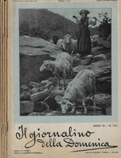 Il giornalino della Domenica